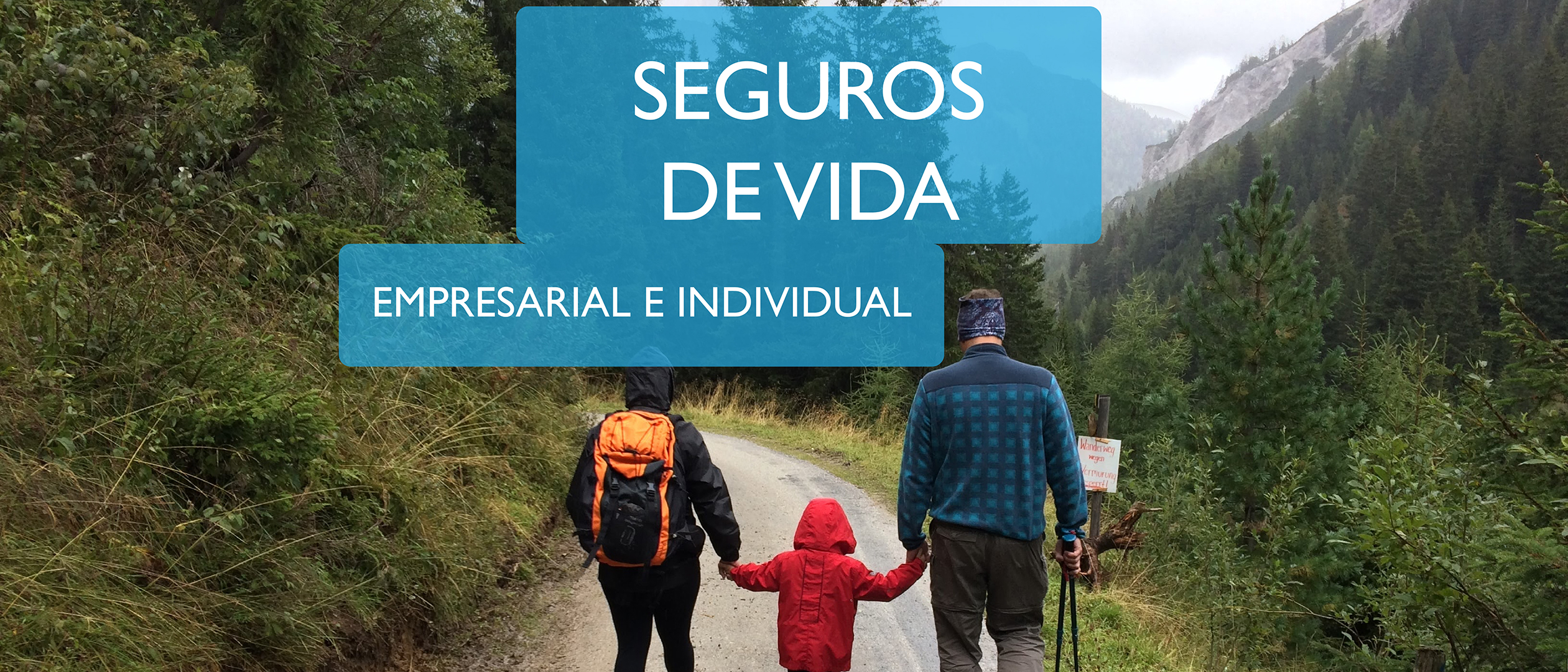 Seguros de vida, empresarial e individual